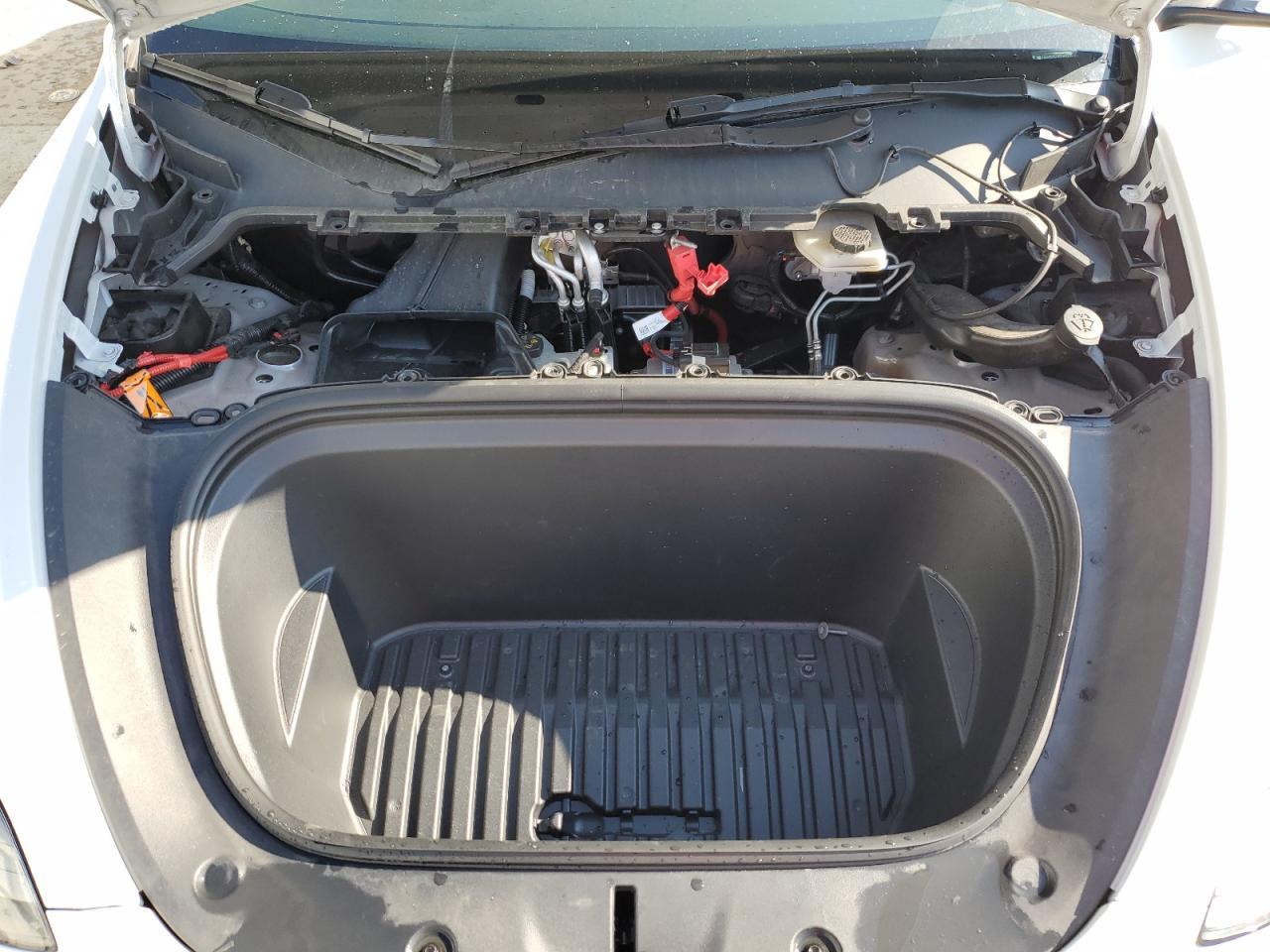2023 TESLA MODEL Y  VIN:7SAYGDEF9PF812236