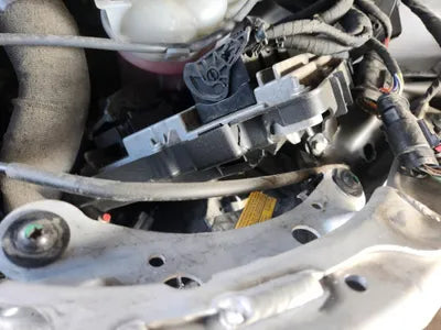 2021 Audi 50 WAUZZZF88MN005564 VIN:WAUZZZF88MN005564