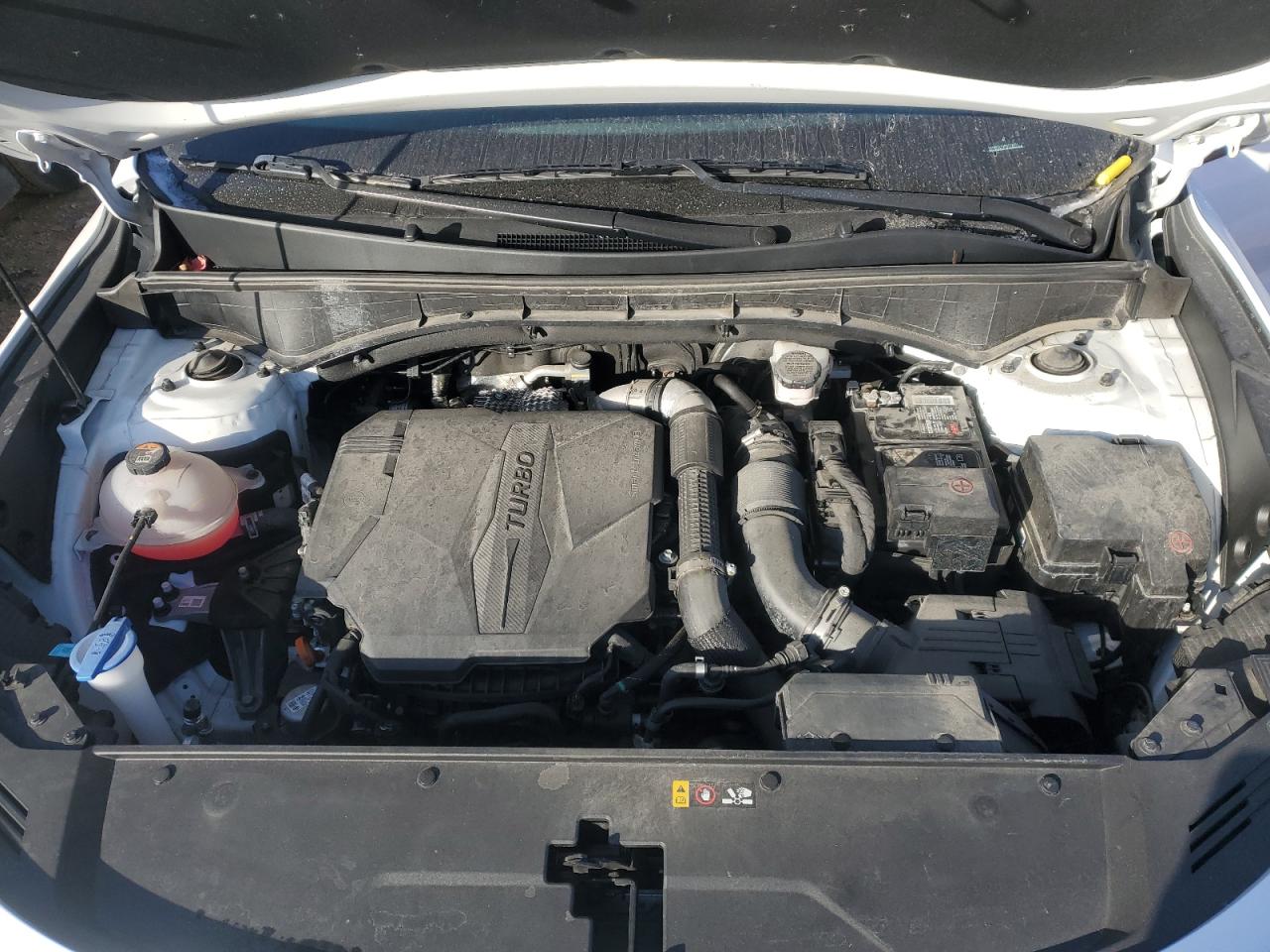 2023 KIA SORENTO SX VIN:5XYRKDLF4PG177101