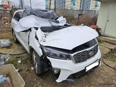 2020 Kia Sorento KNAPH81ABLA599695 VIN:KNAPH81ABLA599695