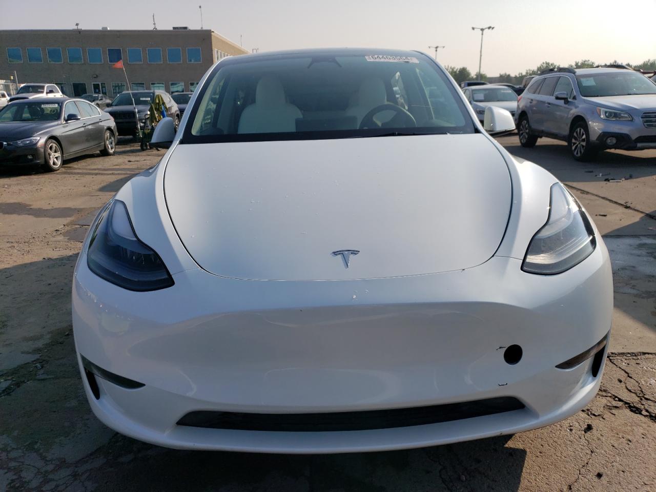 2023 TESLA MODEL Y  VIN:7SAYGDEF5PF710996