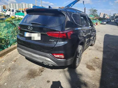 2019 Hyundai Santa FE KMHS381CBKU167269 VIN:KMHS381CBKU167269