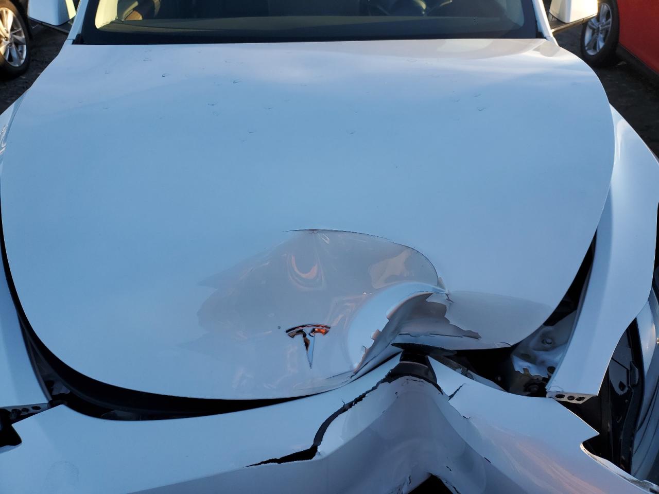 2024 TESLA MODEL Y  VIN:7SAYGDEF1RA261719