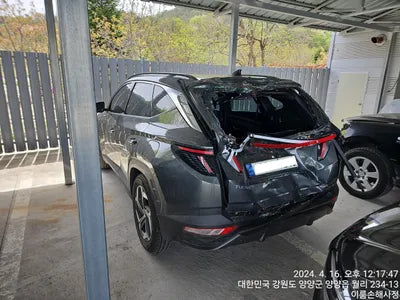 2021 Hyundai Tucson KMHJE81CBMU001107 VIN:KMHJE81CBMU001107