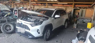 2019 Toyota RAV4 JTMW2RFV8KD024893 VIN:JTMW2RFV8KD024893