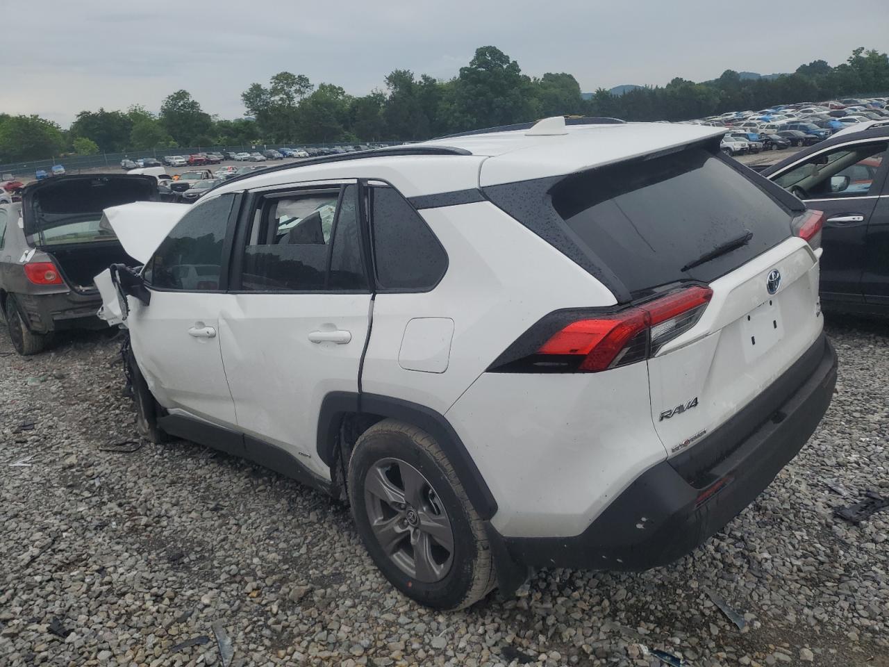 2024 TOYOTA RAV4 XLE VIN:4T3RWRFV4RU134290