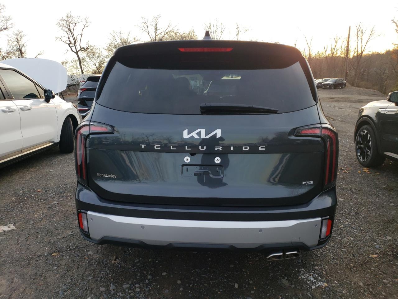 2024 KIA TELLURIDE SX VIN:5XYP5DGC5RG541334