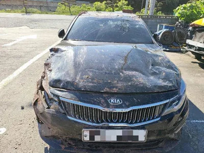 2019 Kia K5 KNAGT416BLA370157 VIN:KNAGT416BLA370157