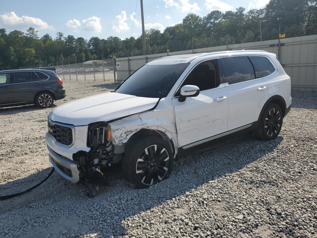 2024 KIA TELLURIDE SX VIN:5XYP54GC9RG454570