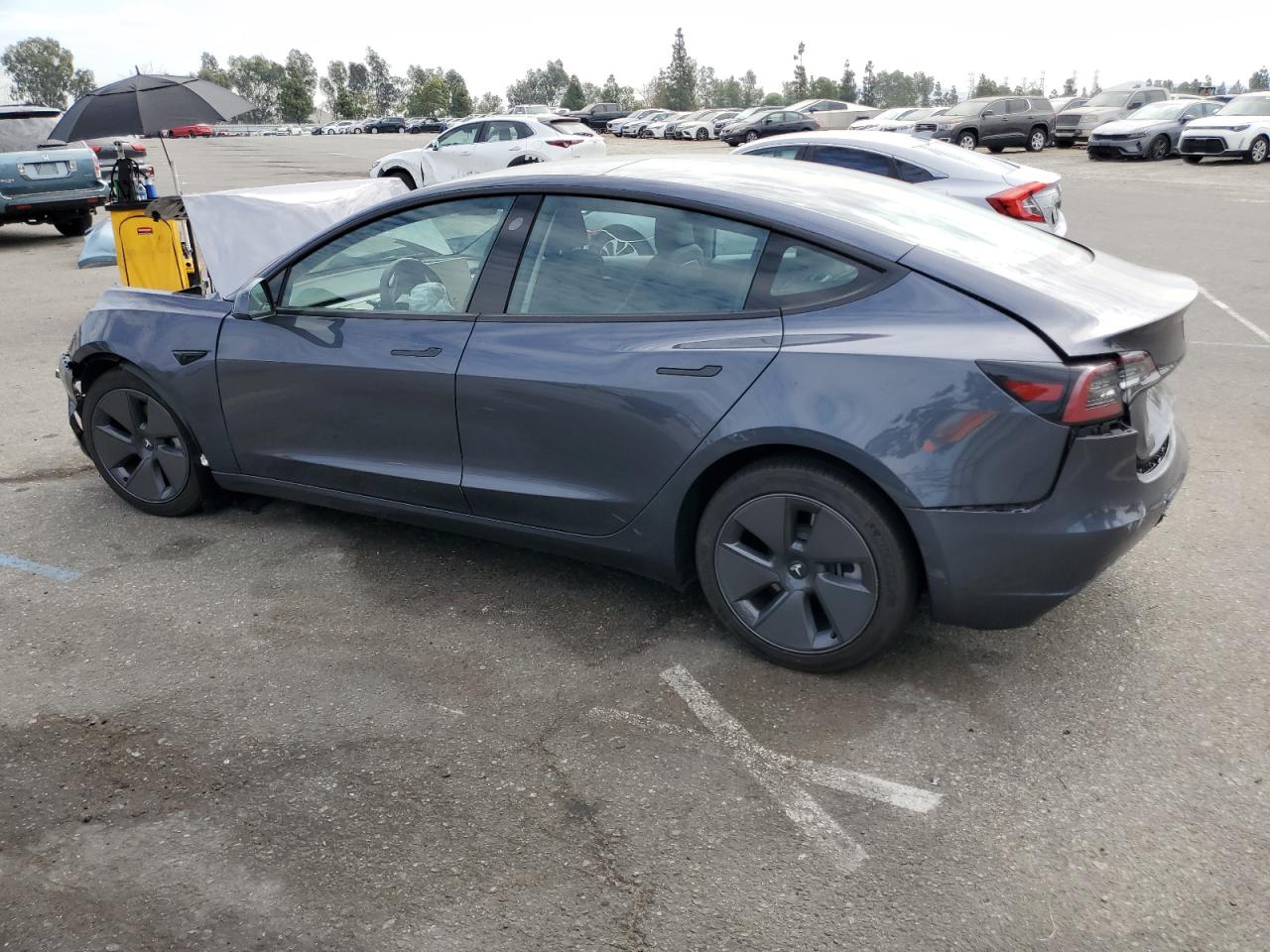 2023 TESLA MODEL 3  VIN:5YJ3E1EA3PF546986