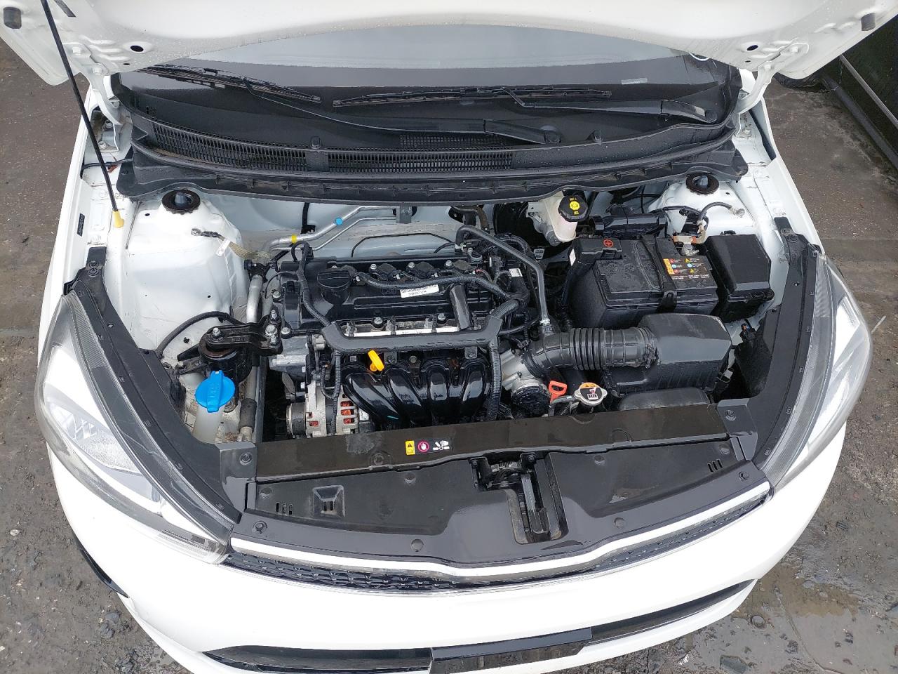 2024 KIA PEGAS VIN:LJD0AA294R0******