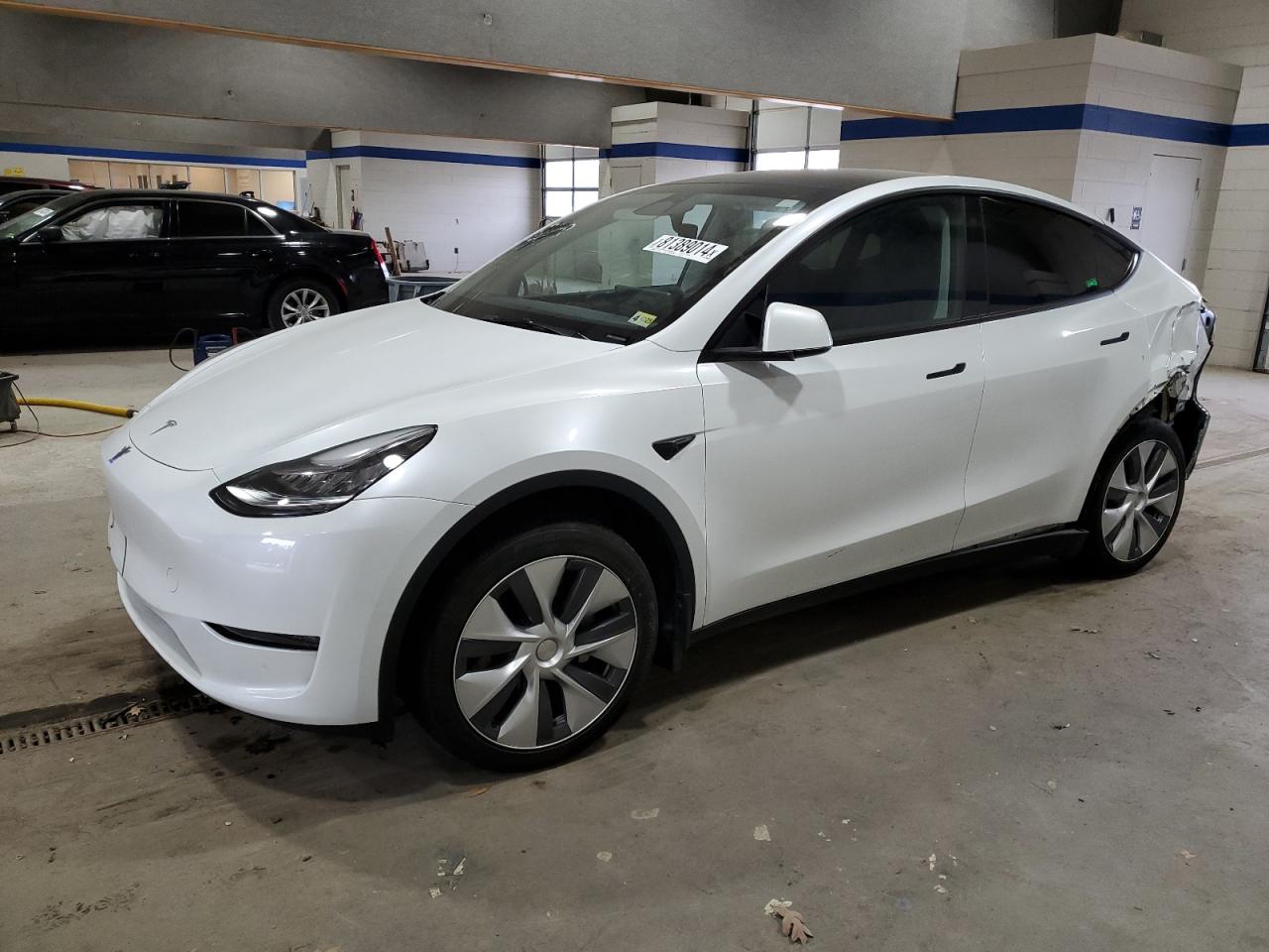 2023 TESLA MODEL Y  VIN:7SAYGDEEXPA092921