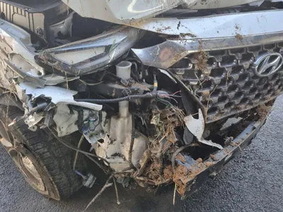 2019 Hyundai Santa FE KMHS581CDKU150496 VIN:KMHS581CDKU150496