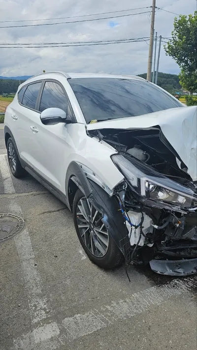 2019 Hyundai Tucson KMHJ581ADKU058096 VIN:KMHJ581ADKU058096