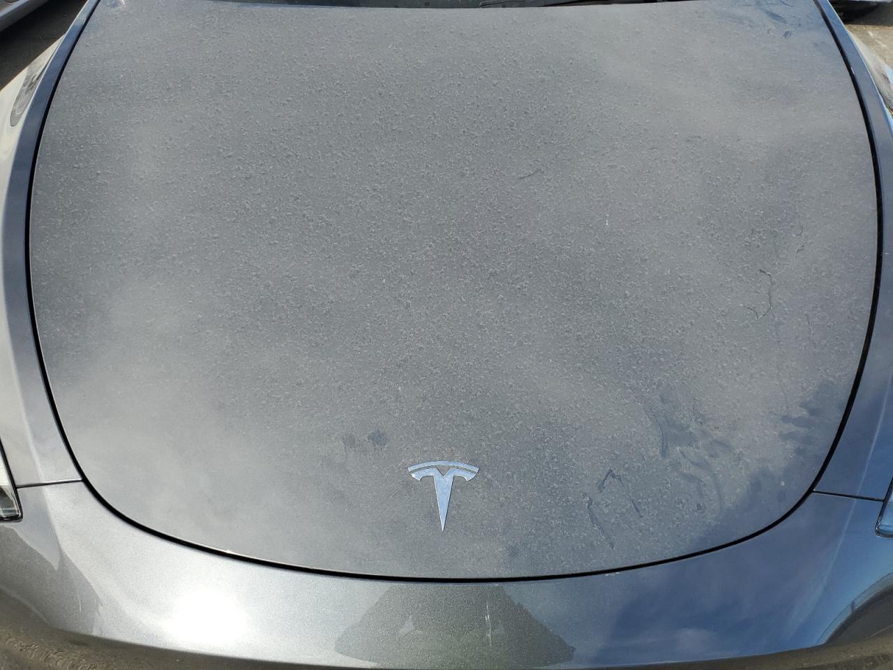 2023 TESLA MODEL Y  VIN:7SAYGDEE8PF912853
