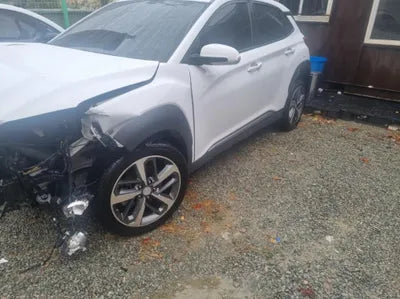2018 Hyundai Kona KMHK4815GJU262175 VIN:KMHK4815GJU262175