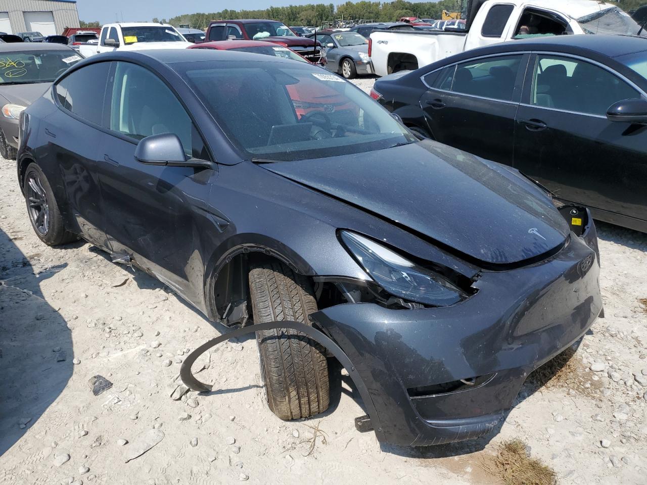 2024 TESLA MODEL Y  VIN:7SAYGDED3RF114643