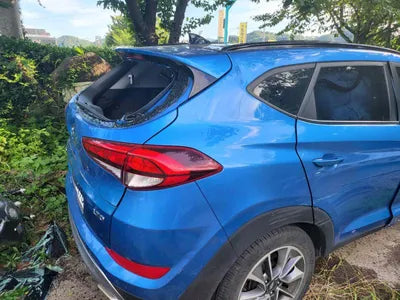 2017 Hyundai Tucson KMHJ3815GJU525466 VIN:KMHJ3815GJU525466