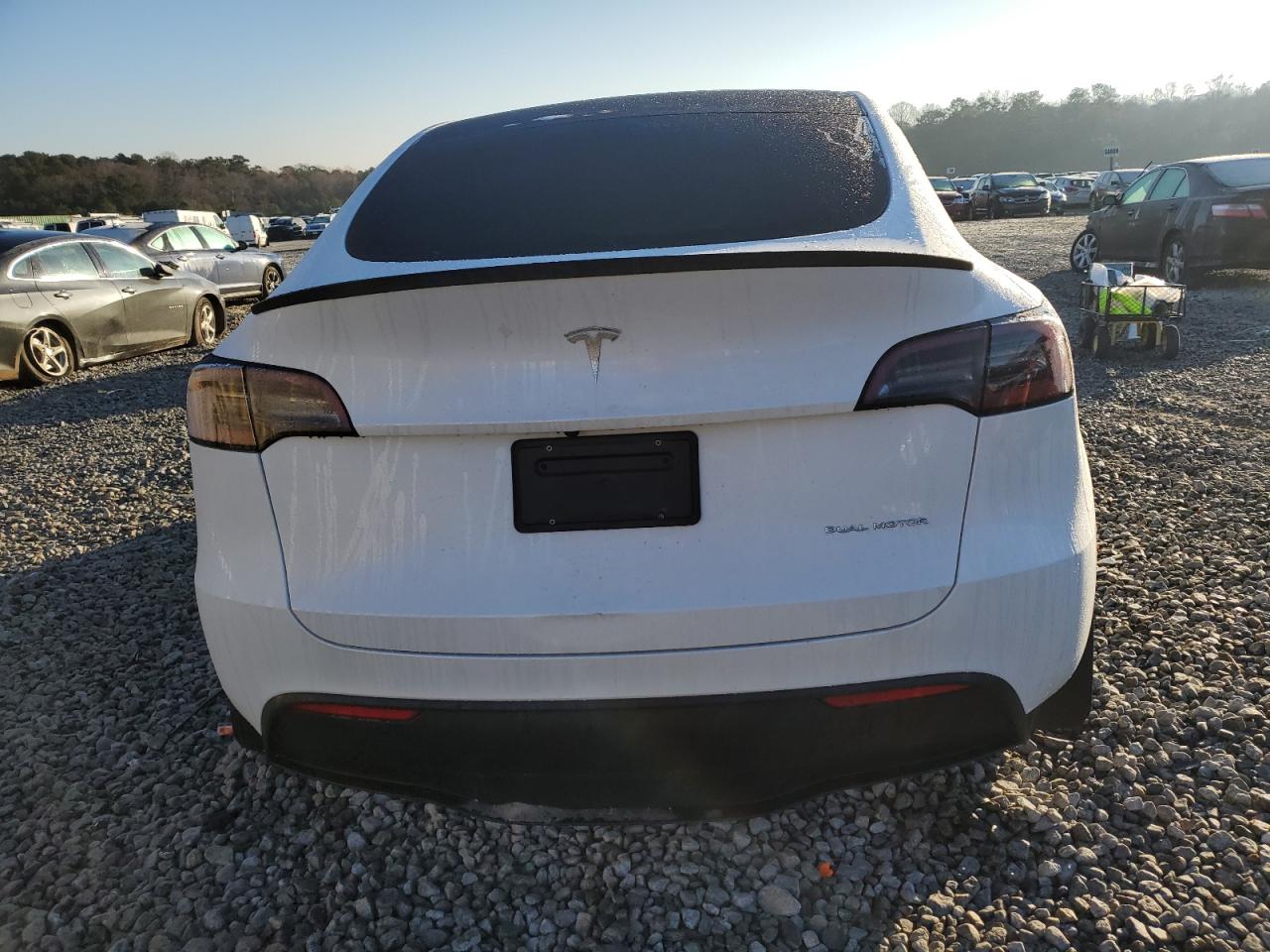 2023 TESLA MODEL Y  VIN:7SAYGDEE0PA030525