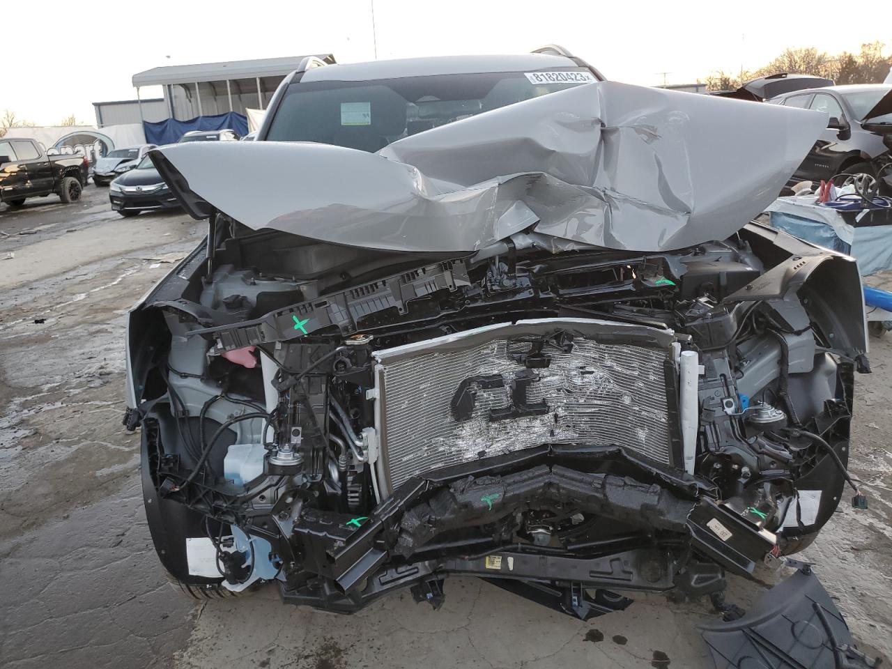 2024 KIA TELLURIDE EX VIN:5XYP3DGC9RG462853