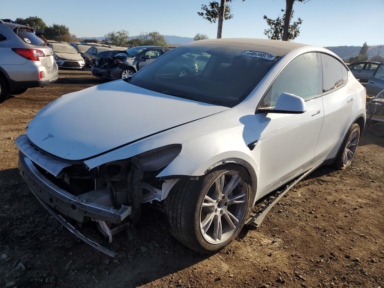 2023 TESLA MODEL Y  VIN:7SAYGAEE3PF970884