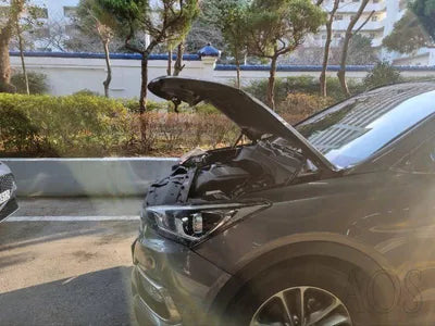 2016 Hyundai Santa FE KMHSW81UBGU619811 VIN:KMHSW81UBGU619811