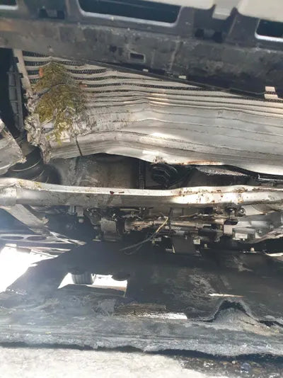 2022 BMW X1 WBA11DG08N5U73571 VIN:WBA11DG08N5U73571