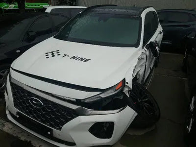 2019 Hyundai Santa FE KMHS381CDKU003486 VIN:KMHS381CDKU003486
