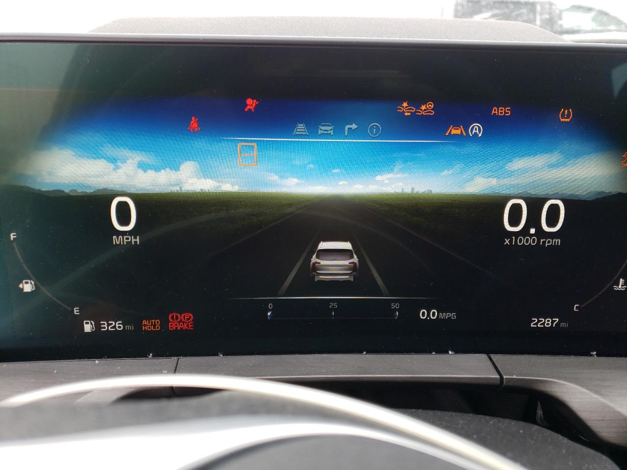 2024 KIA TELLURIDE SX VIN:5XYP5DGC5RG554858