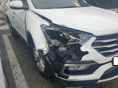 2017 Hyundai Santa FE KMHSW81UBHU757040 VIN:KMHSW81UBHU757040