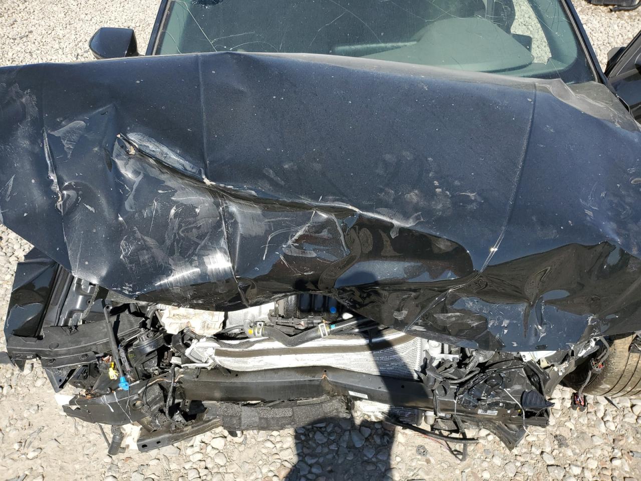 2024 HYUNDAI ELANTRA BLUE VIN:KMHLM4DJ4RU093232