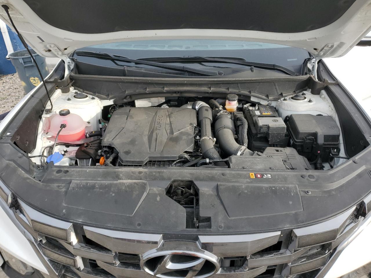 2023 HYUNDAI SANTA CRUZ LIMITED VIN:5NTJEDAF8PH069811