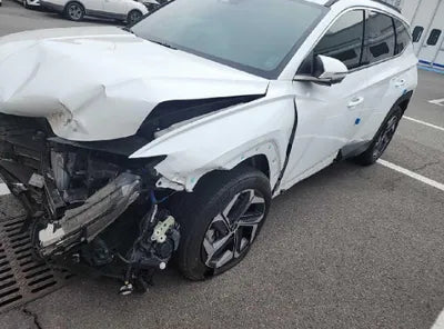 2021 Hyundai Tucson KMHJE81BGMU006030 VIN:KMHJE81BGMU006030