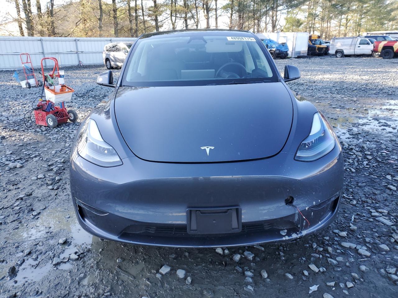 2023 TESLA MODEL Y  VIN:7SAYGDED7PF923057