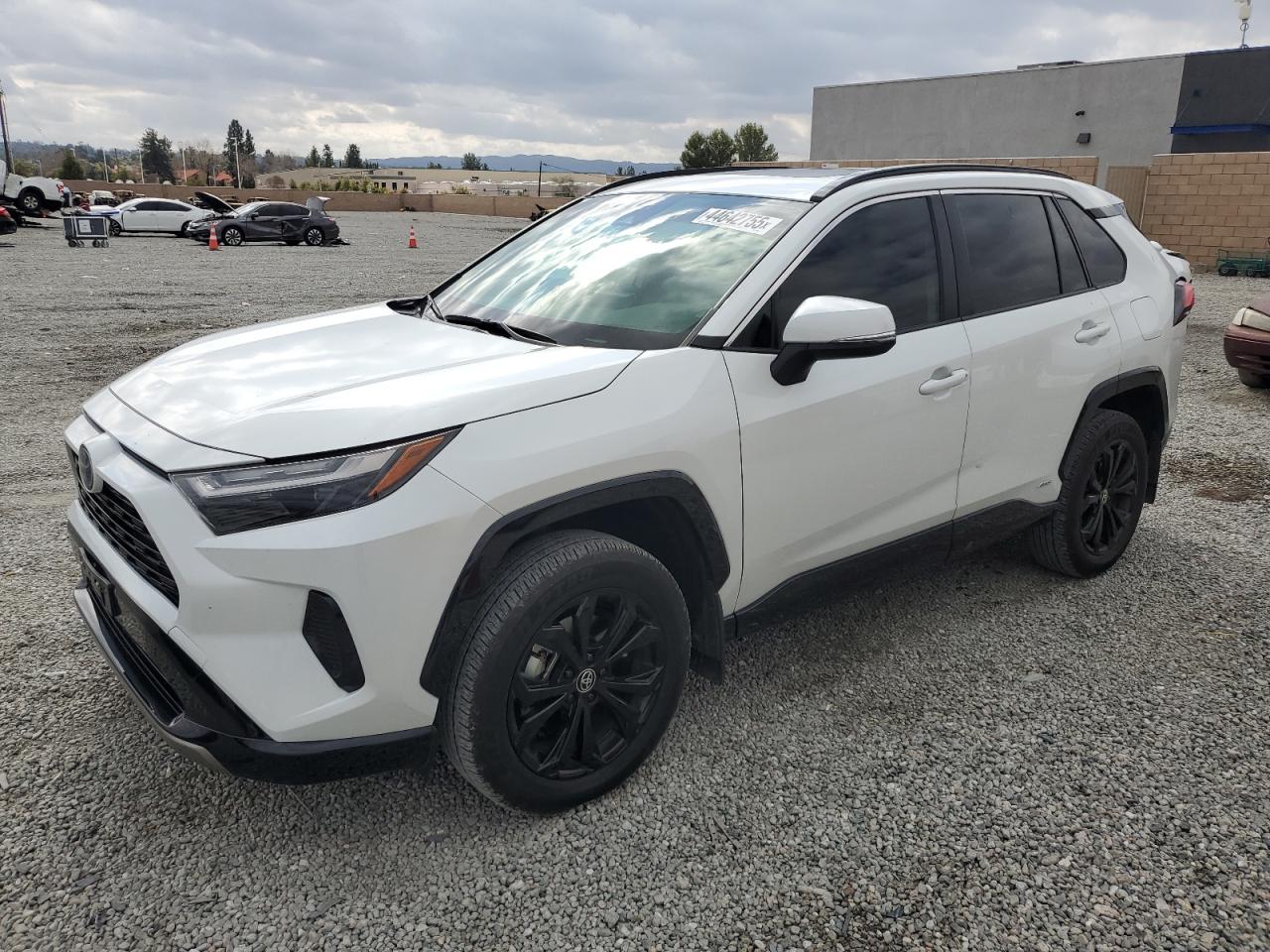2023 TOYOTA RAV4 SE VIN:JTM16RFV7PD100545