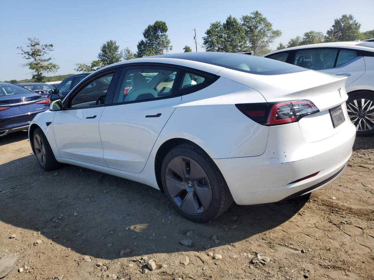 2023 TESLA MODEL 3  VIN:5YJ3E1EA0PF513220