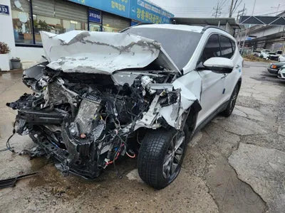 2018 Hyundai Santa FE KMHSW81UBJU796215 VIN:KMHSW81UBJU796215