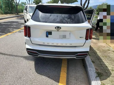 2020 Kia Sorento KNAPS811DLA616574 VIN:KNAPS811DLA616574