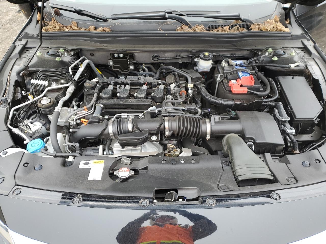 2022 HONDA ACCORD LX VIN:1HGCV1F18NA023212