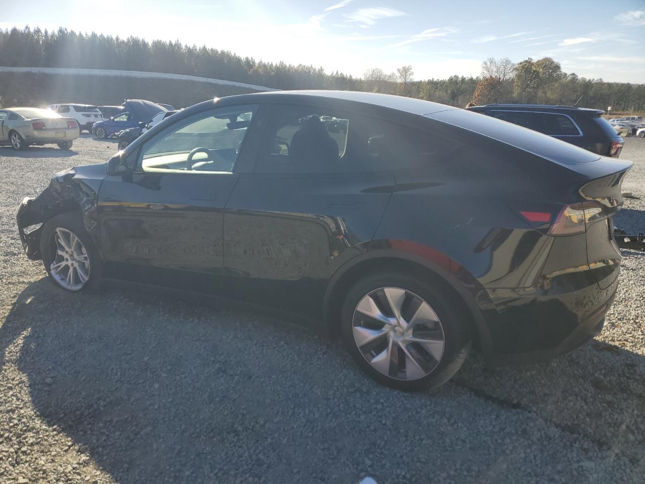 2024 TESLA MODEL Y  VIN:7SAYGDEE4RA220766