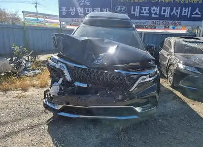2021 Kia Carnival KNANC81BBMS112978 VIN:KNANC81BBMS112978