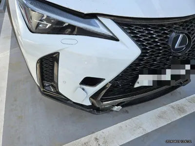 2020 Lexus UX 250 VIN: