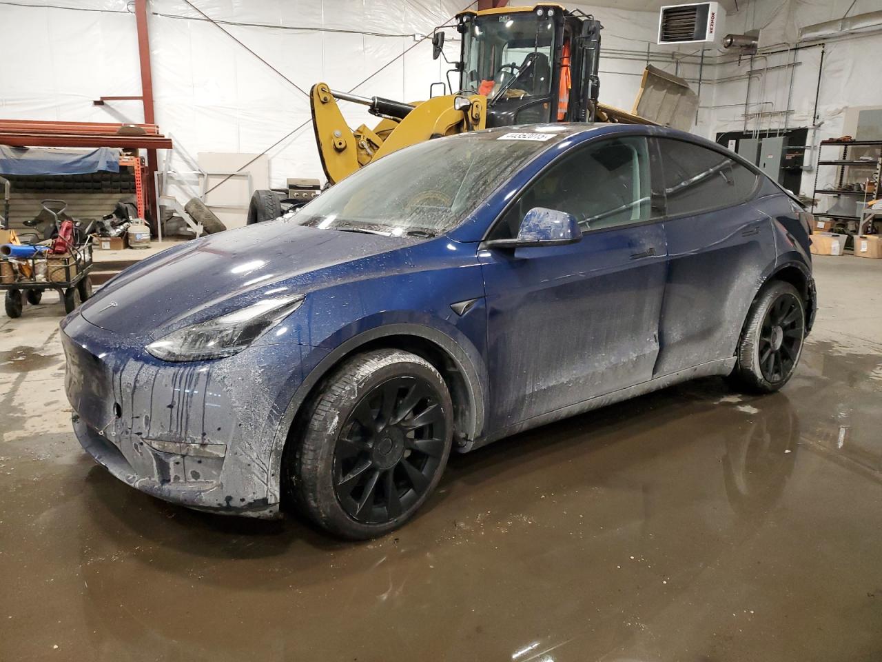 2023 TESLA MODEL Y  VIN:7SAYGAEE5PF970353