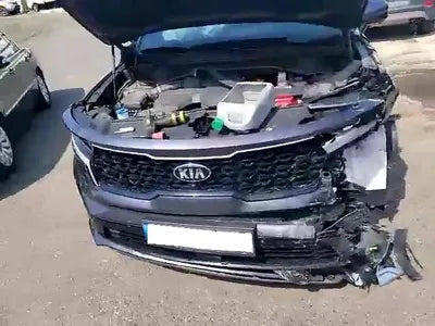 2021 Kia Sorento KNARK81GDMA019707 VIN:KNARK81GDMA019707