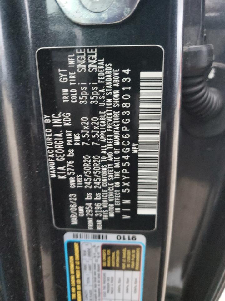 2023 KIA TELLURIDE SX VIN:5XYP54GC6PG380134