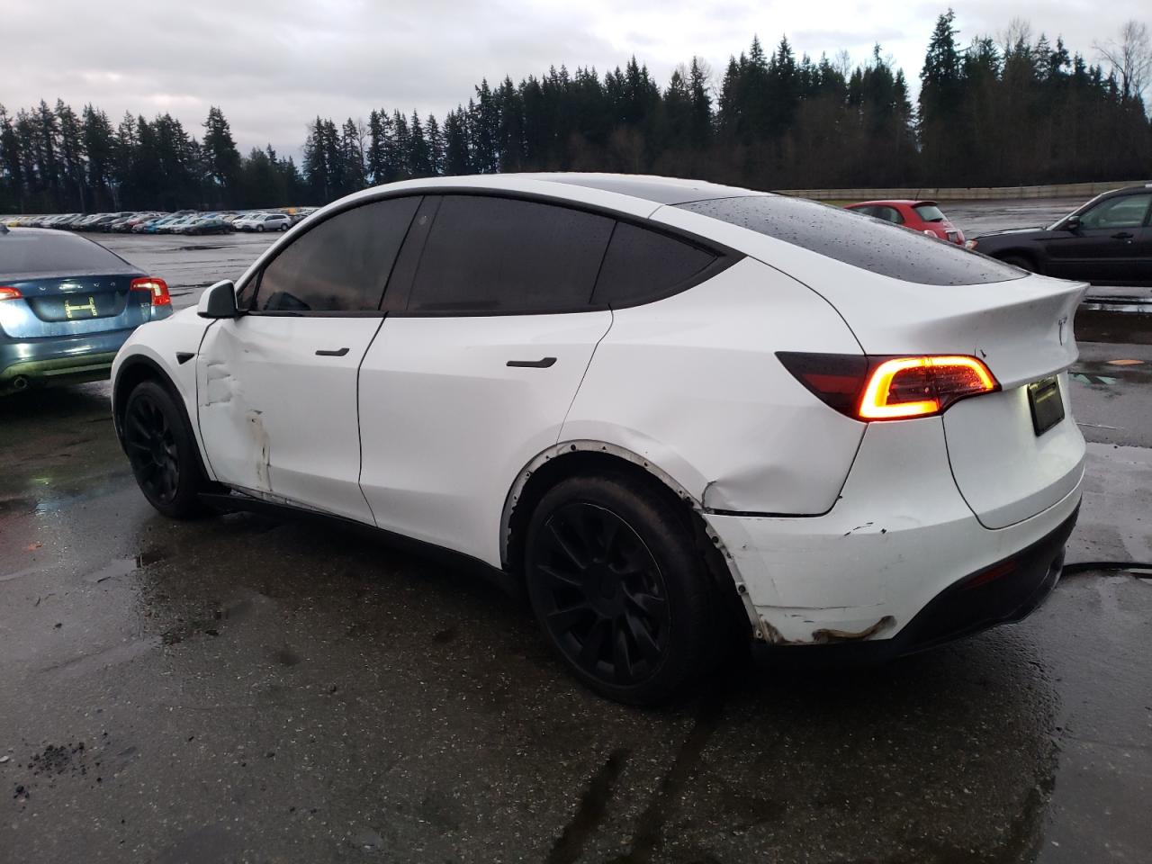 2023 TESLA MODEL Y  VIN:7SAYGAEE4PF599993
