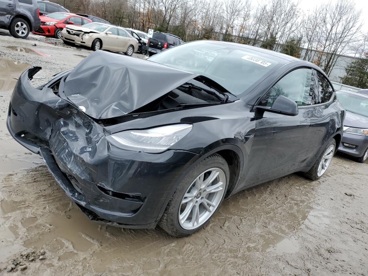2023 TESLA MODEL Y  VIN:7SAYGDEE7PA030344