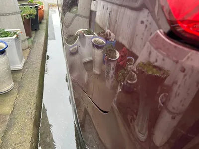 2017 Kia Carnival KNAMB81ABJS385400 VIN:KNAMB81ABJS385400