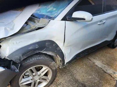 2020 Hyundai Kona KMHK2817GLU485450 VIN:KMHK2817GLU485450