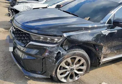 2021 Kia Sorento KNARF81FGNA132312 VIN:KNARF81FGNA132312